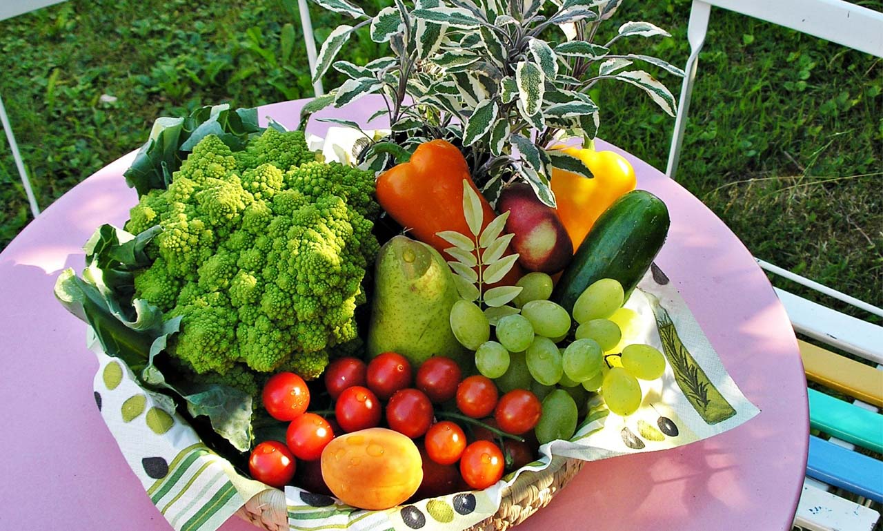 攻击网站在线工具