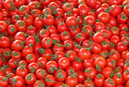 发卡网优惠的DDOS测试