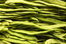 为企业增效益的手机版ddos攻击器